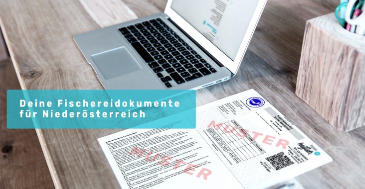 Ein Laptop auf einem Schreibtisch mit einer Muster Angelkarte und dem Schriftzug " Deine Fischereidokumente für Niederösterreich"