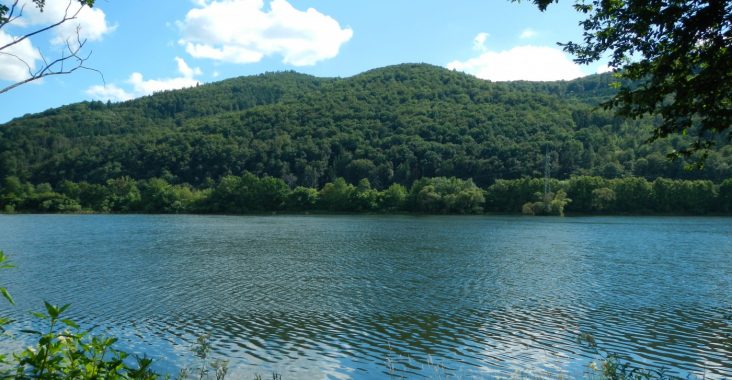 Affolderner See mit Wald im Hintergrund.
