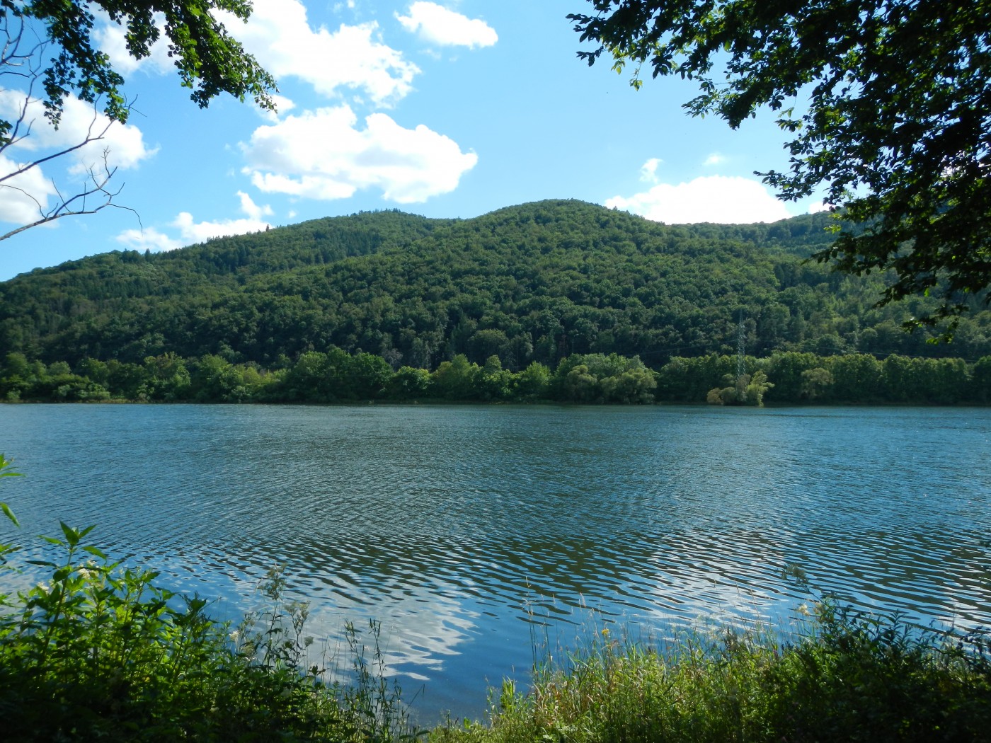 Affolderner See mit Wald im Hintergrund.