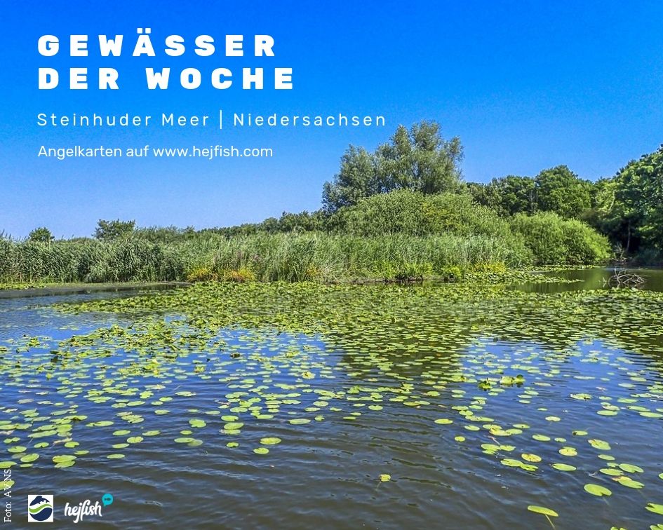 Angeln am Steinhuder Meer | Angelkarten ab 10,50 € | Angeln am Steinhuder Meer | Angelkarten ab 10,50 € |