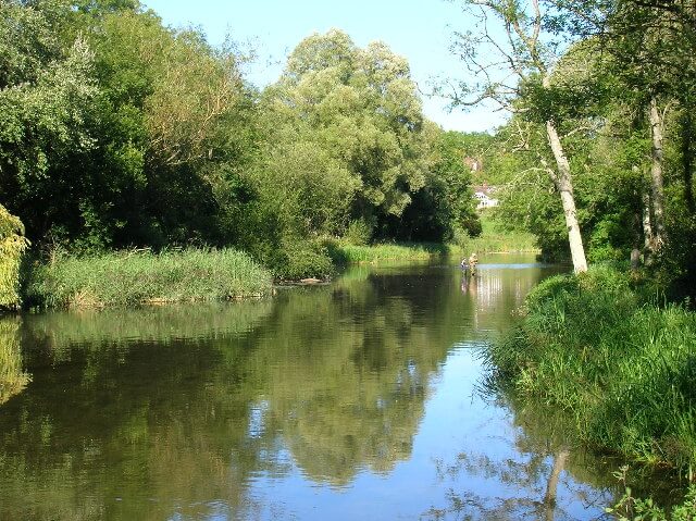 angeln im sommer