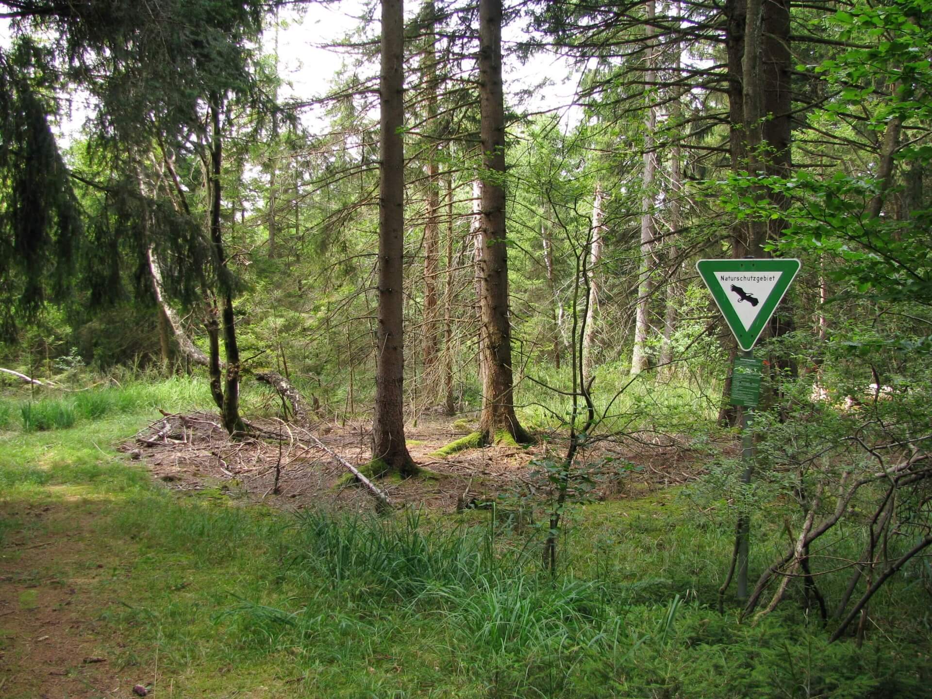 Angeln im Naturschutzgebiet Fischerhütte