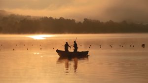 Angeln am Bostalsee – Anglerglück, erholsame Atmosphäre und Gaumenschmaus