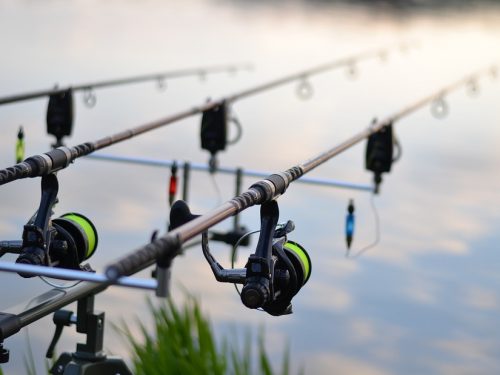 fishing-3302535_960_720 angelruten